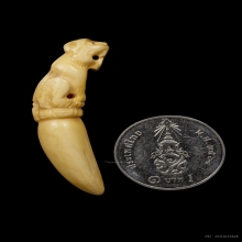  +บัตรสมาคม เขี้ยวแกะ เสือหลวงพ่อคง วัดวังสรรพรส