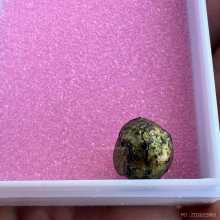 ลูกอมเจ็ดพญาช้างสาร เจ็ดไคล หลวงพ่อดิ่ง 