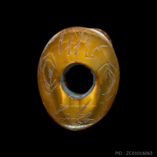 เขี้ยวเสือสาริกา หลวงพ่อปาน วัดบางเหี้ย