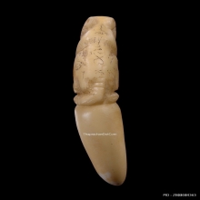 เสืองาแกะ หลวงพ่อคง วัดวังสรรพรส