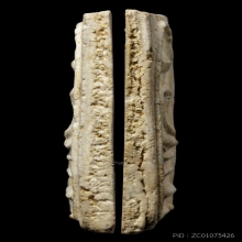 +บัตรสมาคม สมเด็จ3ชั้นหูบายศรี พระครูสังข์