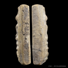 +บัตรสมาคม สมเด็จพิมพ์ใหญ่ หลวงปู่ลำภู ลงกรุต้นโพธิ์