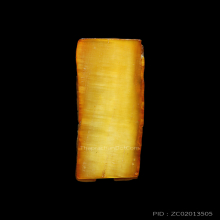 สิงห์หลวงพ่อหอมวัดชากหมาก