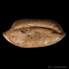 พระคงลำพูน เนื้อดิน สภาพสวย ไม่หักไม่ซ่อม