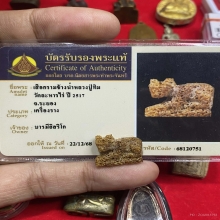 เสือ..กรามช้างน้ำ..หลวงปู่ทิม วัดละหารไร่