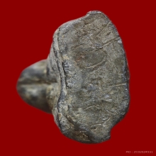 พระปิดตาเนื้อชินตะกั่วก้นจารเก่า