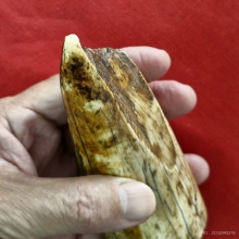 งากำจัด งากระเด็น เครื่องรางทนสิทธิ์มีฤทธิ์ในตัว 