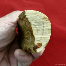 งากำจัด งากระเด็น เครื่องรางทนสิทธิ์มีฤทธิ์ในตัว 