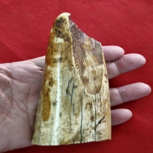 งากำจัด งากระเด็น เครื่องรางทนสิทธิ์มีฤทธิ์ในตัว 