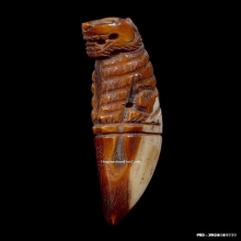 เขี้ยวเสือแกะหลวงปู่กาหลง วัดเขาแหลม จ.สระแก้ว