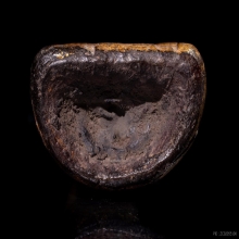 พระปิดตาไม้แกะพอกผง ลงรักปิดทอง มีจารเปียก ศิลป์สวยงาม