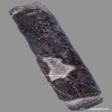 ตะกรุดจันทร์เพ็ญหลวงปู่ศุข วัดปากครองมะขามเฒ่า