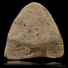 หลวงปู่ทวด วัดปราสาท ปี 06 เล็บเหยี่ยว เนื้อขาว