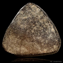 นางกำแพงลูกแป้งคู่