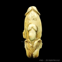 จิ้งจกขี่ปลัดขิกงาแกะ ลป.หน่าย ยาวเกือบนิ้วครึ่ง มีจารเพียบ