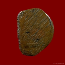 หลวงพ่อหงษ์ รุ่นแรก วัดชลคราม จ.สุราษฎร์ธานี ปี2516 