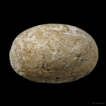 ลูกอมมหากัณฑ์หลวงพ่อคง วัดบางกะพ้อม พร้อมบัตรสมาคม