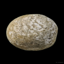 ลูกอมมหากัณฑ์หลวงพ่อคง วัดบางกะพ้อม พร้อมบัตรสมาคม