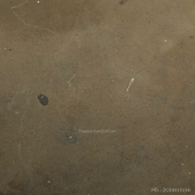 ปลาตะเพียนหลวงพ่อแจ๋  จารมือยุคต้น