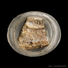 ชิ้นส่วนพระสมเด็จ วัดบางขุนพรหม 