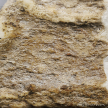 ชิ้นส่วนพระสมเด็จ วัดบางขุนพรหม 