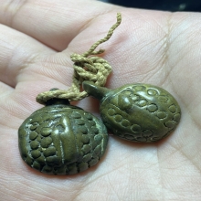 เต่าหลวงพ่อเงินวัดบางคาน