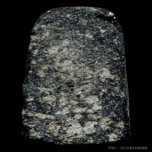 หลวงปู่ทวด วัดช้างให้ ปี2524 เนื้อว่าน พิมพ์พระรอด