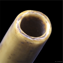 ตะกรุดกระดูกห่าน มีจารเก่า