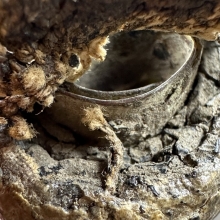 ตะกรุดหลวงพ่อผุด วัดวังเวียน