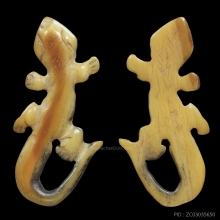 จิ้งจกลพ.หน่าย วัดบ้านแจ้ง