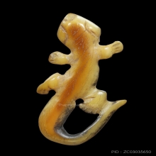 จิ้งจกลพ.หน่าย วัดบ้านแจ้ง