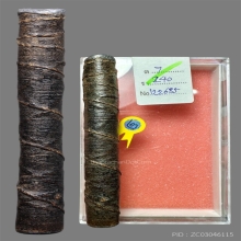 รองแชมป์งานสมาคม ตะกรุดหลวงพ่อปาน วัดบางเหี้ย