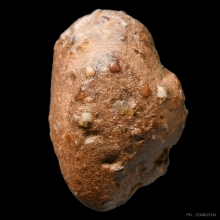 พระถ้ำเสือ พิมพ์ต้อจิ๋ว กรุเก่า