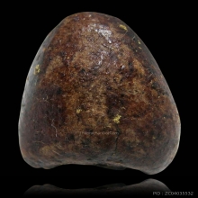 ปิดตากวนข้าทิพย์เจ้าคุณวิเชียร วัดเครือวัลย์ สวย