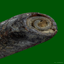 ตะกรุดพอกครั่งหลวงพ่อทองสุข วัดโตนดหลวง