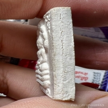 พระนาคปรก หลังยันต์หมึก 2513 ท่านเจ้าคุณนร สวยเดิมๆ