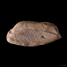 พระคงลำพูน กรุเก่า เนื้อดิน สภาพสวยเดิมๆ