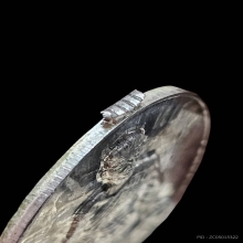 เหรียญท่านก๋งเตื่อง วัดคลองม่วง เหรียญ ร.5ปั้ม สร้าง108 องค์