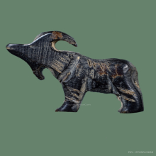 แพะ เมตตา หลวงพ่อเริ่ม ปรโม วัดจุกกะเฌอ จังหวัดชลบุรี