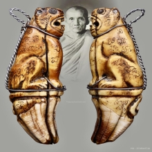 เขี้ยวหมีแกะเสือสอดหนังหน้าผากเสือ หลวงพ่อกวย วัดโฆสิตาราม 