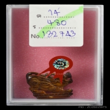 สิงห์ หลวงพ่อเฮง  วัดเขาดิน ปี 2430-2453 หายาก ‼️ ดีกรีที่1