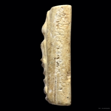 สมเด็จวัดระฆัง 100 ปี พิมพ์เส้นด้ายลึก สภาพเดิมๆพร้อมบัตร(7)