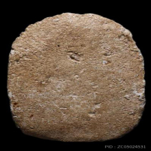 พระผงกระดูกผีอาจารย์หนู วัดโพธิ์ท่าเตียน พิมพ์นาคปรก