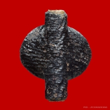 เบี้ยแก้ วัดกลางบางแก้ว มีตะกรุด เนื้อทองแดง 