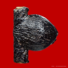 เบี้ยแก้ วัดกลางบางแก้ว มีตะกรุด เนื้อทองแดง 