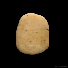 เสือกระดูกแกะหลวงพ่อเรือน วัดบางเหี้ย จ.สมุทรปราการ