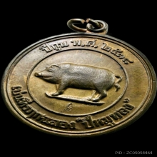 หมูสองหน้ากรรมการ 