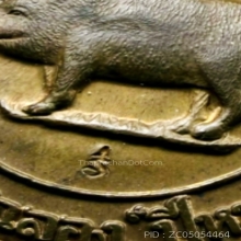 หมูสองหน้ากรรมการ 