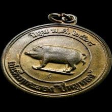 หมูสองหน้ากรรมการ 