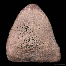 พระเนื้อผงหลวงปู่ทวด วัดประสาทฯ